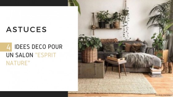 4 idées pour une décoration nature et bois au salon