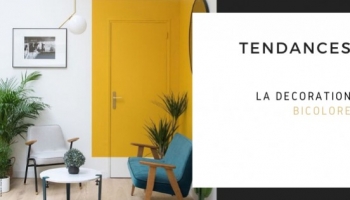 La décoration bicolore 